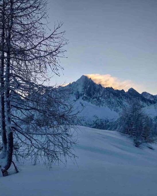 Chamonix, Saint Gervais Et Mont-blanc *